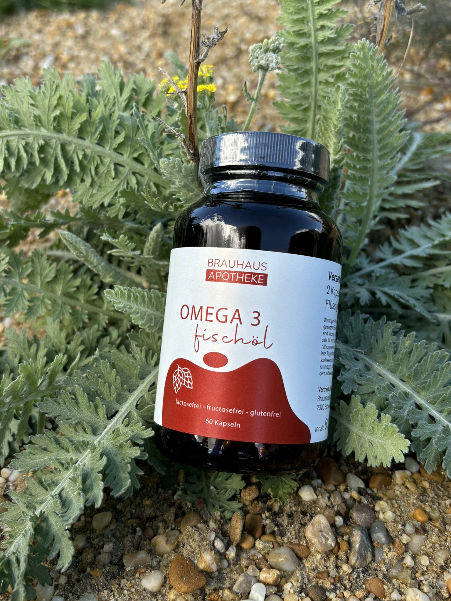 Omega 3 Fischöl Kapseln – Bild 2