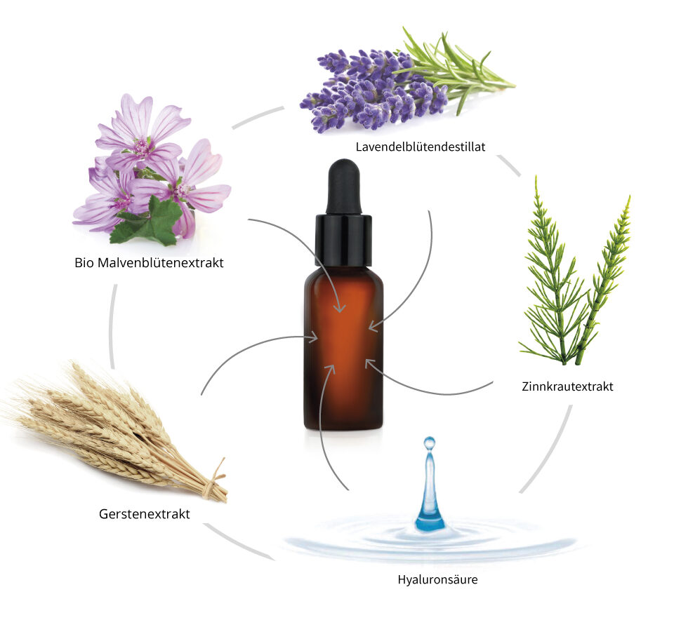 Pore Refiner – Bild 3